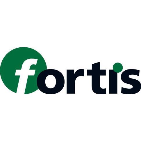 FORTIS Dämmstoffsäge 350mm | mit glatter Schneide